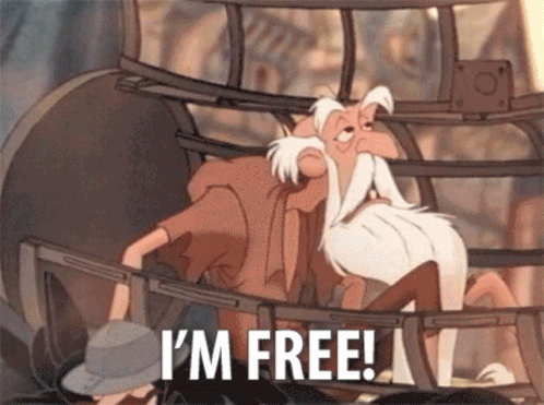 Notre Dame I'm Free GIF