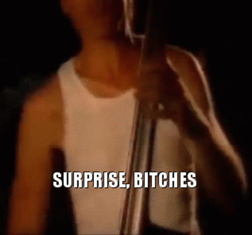 Notre Dame Surprise GIF