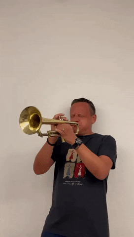 Notti Bop Played In Brass Orchestra GIF