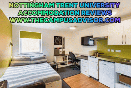 Nottingham Trent University Room With Bed and Kitchen