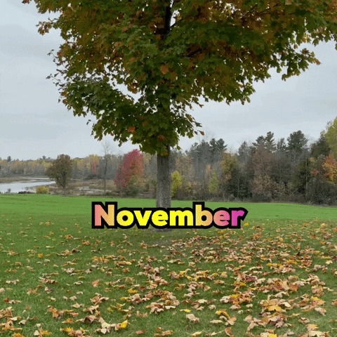 November Text Design Autumn Falling Leaves GIF