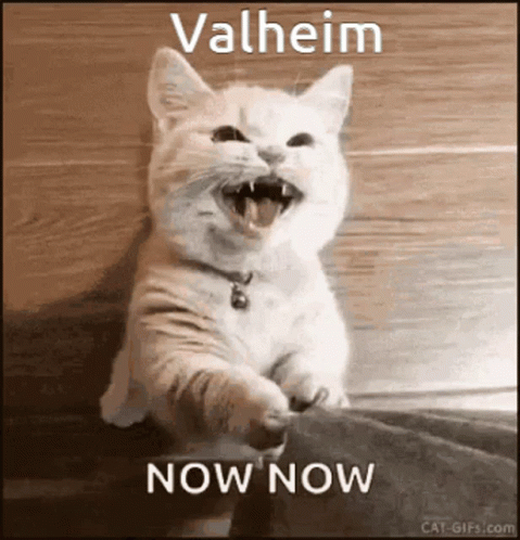 Now 479 X 498 Gif GIF