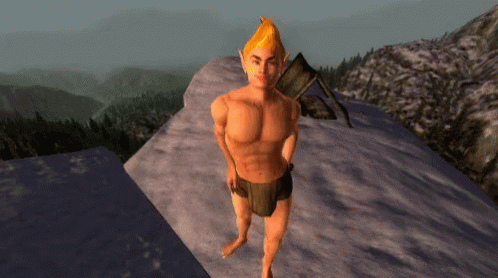 Npc Non Player Character Oblivion Fighting Stance GIF