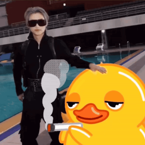 Nugget Duck Korean Mash Up Meme GIF