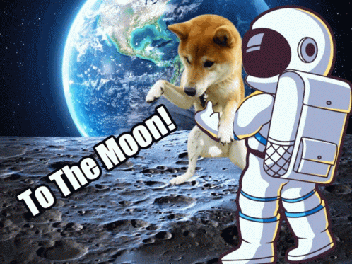 Nuke It From Orbit To The Moon GIF