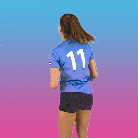Number 11 Of Slovenia GIF