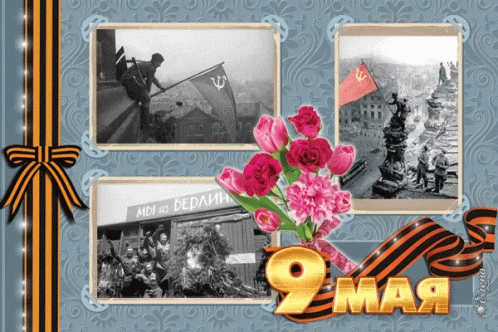 Number 9 Collage