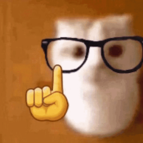 Number One Nerd Cat K Pop Meme GIF