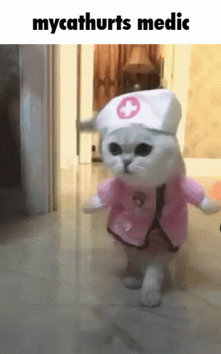 Nurse Cat Medic Cute Costume GIF