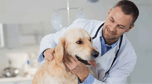 Nurses And Doctor Posing And Smiling GIF