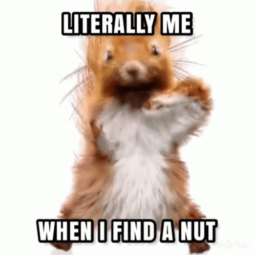 Literally Me When I Find A Nut GIF