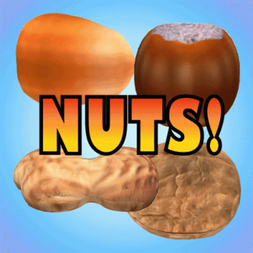 Different Kinds Of Nuts GIF