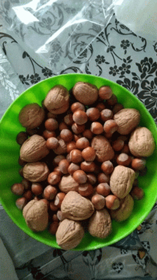 Nuts In The Bowl GIF