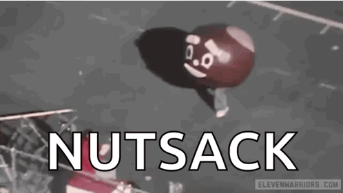 Nutsack Balloon With Face Flying
