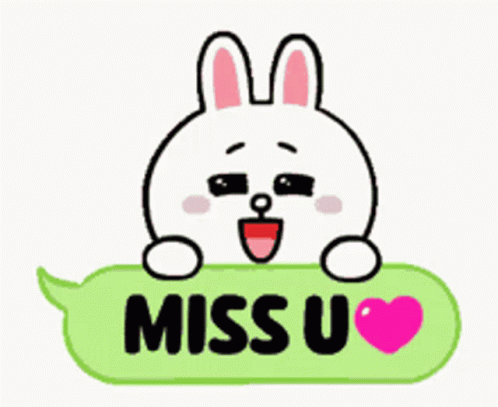 Cony Rabbit Missing You GIF