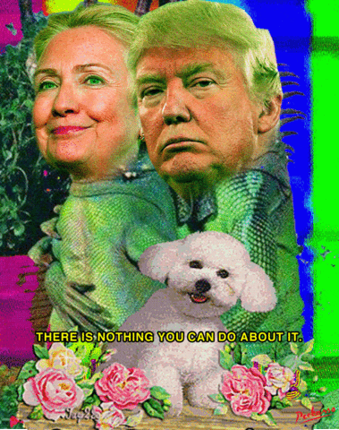 Nwo Donald Trump Hilary Clinton Tandem Meme GIF