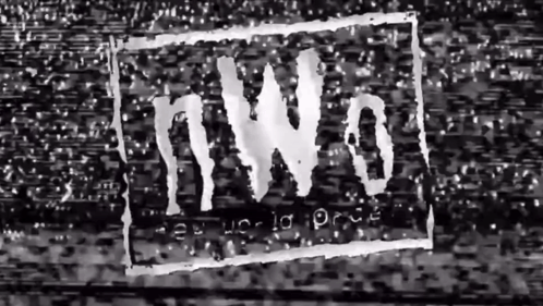 NWO Logo in Black and White