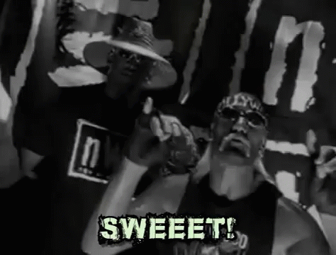 Nwo Member Hulk Hogan Sweet GIF