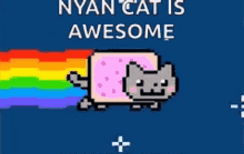 Nyan Cat Is Awesome GIF