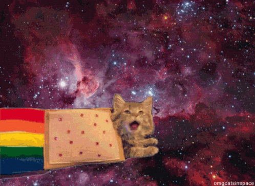 Nyan Cat On Outer Space GIF