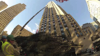 Nyc Rockefeller Holiday Start GIF