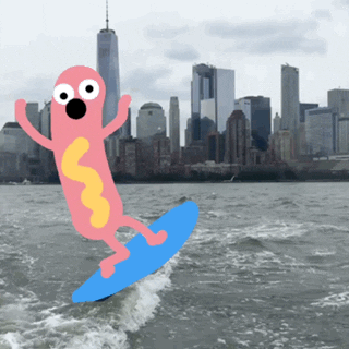 Nyc Surfing Hotdog Doodle GIF