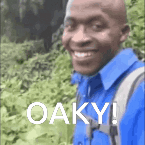 Oaky Okay Ok Meme Typo Oakley Gif GIF