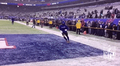 Obj One Handed Catch Football Nfl GIF