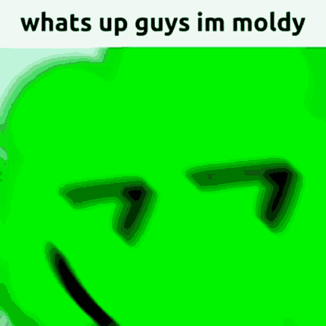 Object Awesomer Moldy Gif GIF