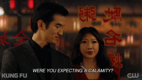 Obviously Asian Pair Kung Fu GIF