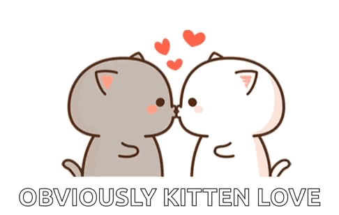 Obviously Kitten Love Cats Hearts