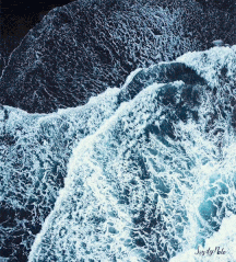 Ocean Aerial View GIF