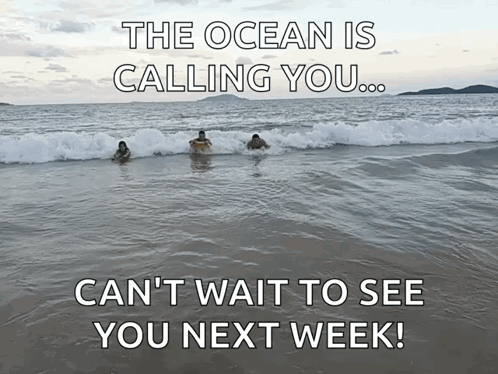 Ocean Is Calling You Can't Wait to See You Next Week