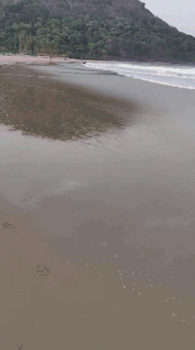 Ocean Waves Reaching Shoreline GIF