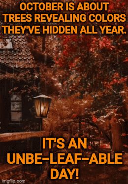 October Rainy Autumn Leaves Falling GIF