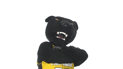 Odu Panthers Mascot GIF