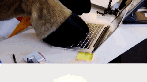 Office Working Goat Mascot GIF
