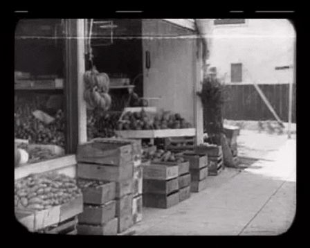 Officer Man Slip On Greengrocer GIF