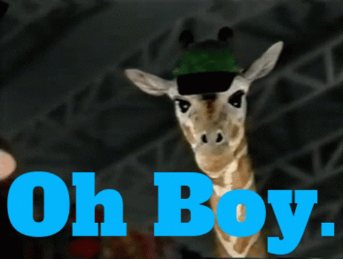 Oh Boy Animal Talking Giraffe GIF