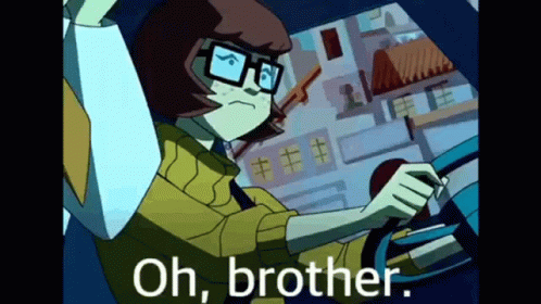Oh Brother Velma Driving GIF