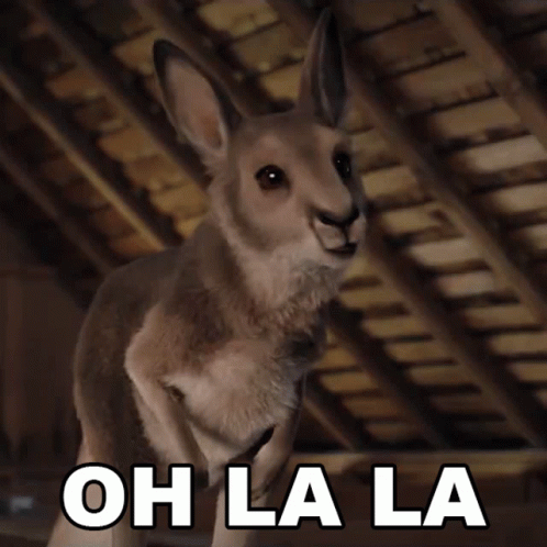 Oh Lalala Weird And Creepy Wallaby GIF