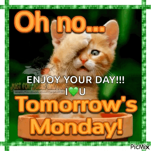Oh No Monday Gif GIF