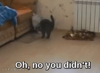 Oh No You Didn't Kinkalow GIF