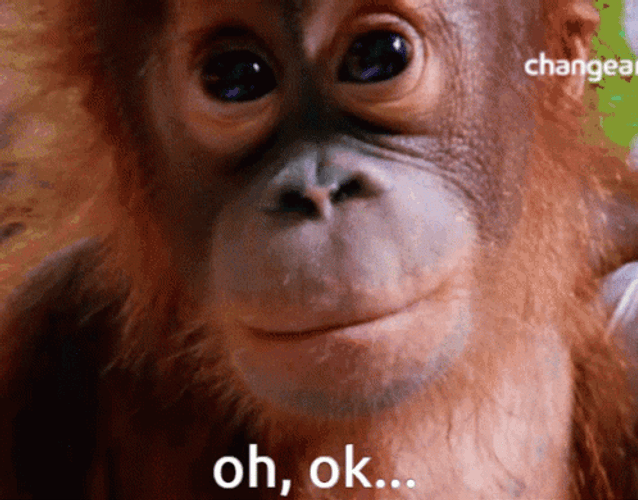 Oh Ok GIF
