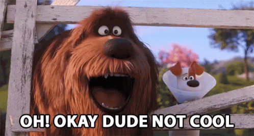 Oh Okay Dude Not Cool Secret Life Of Pets GIF