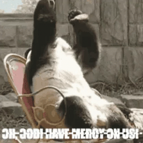 Oh Panda Have Mercy On Us GIF