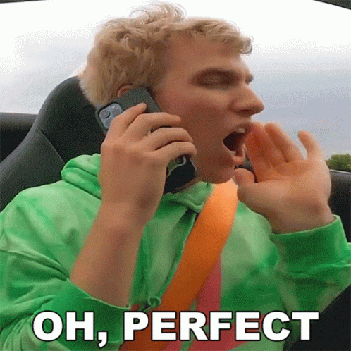 Oh Perfect Talking At Phone GIF