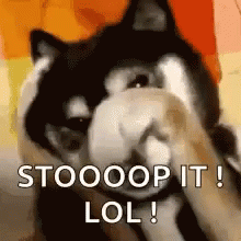 Oh Stop It Wolf Dog GIF