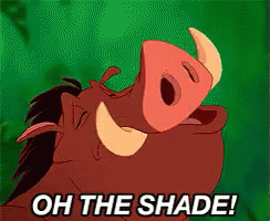 Oh The Shade Pumbaa GIF