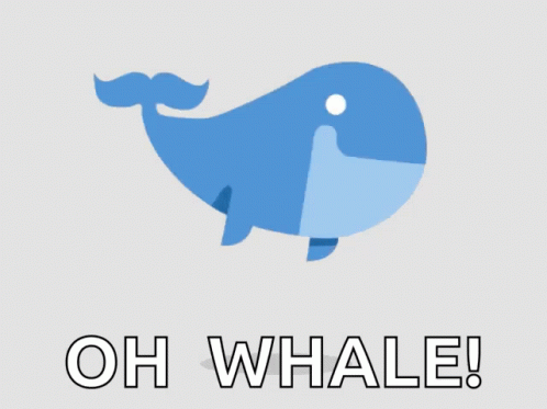 Oh Whale Swim GIF
